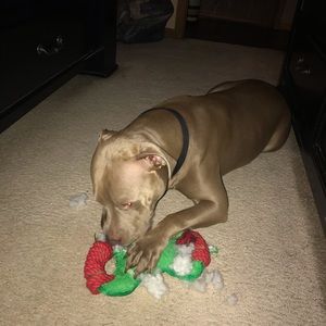 Meet your Posher, April